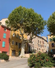 Oplev ægte provencalsk bystemning med ferie i privat feriebolig i Lorgues.